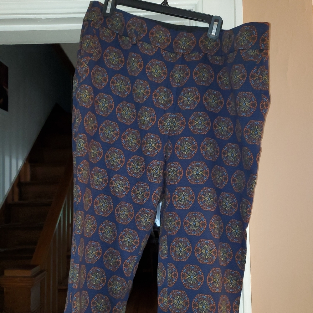 Ann Taylor LOFT pants